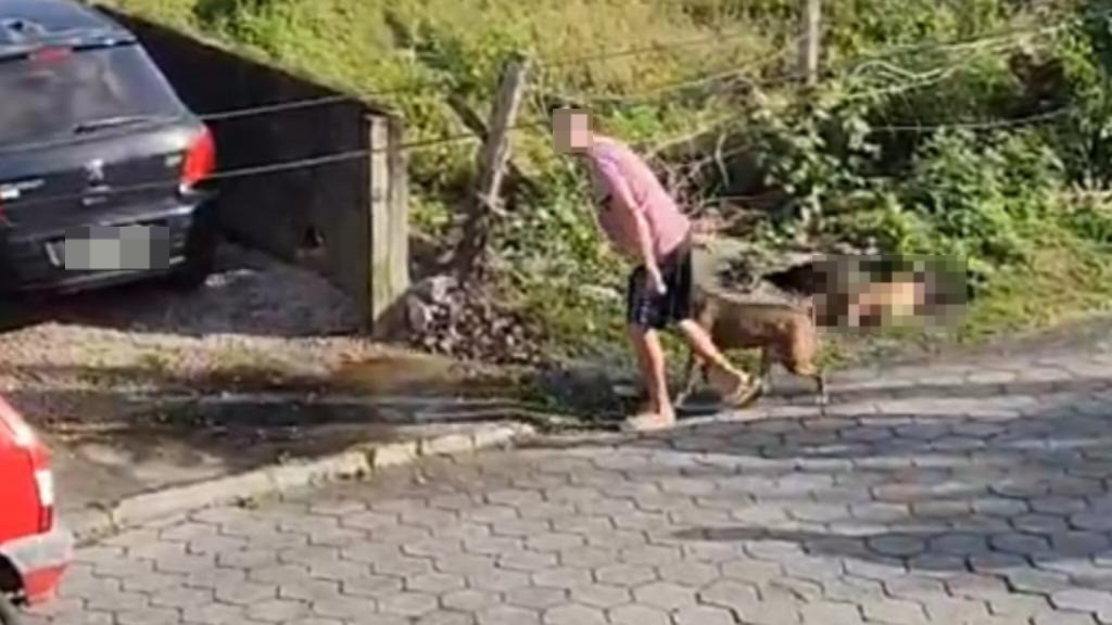 V Deo Moradores Se Revoltam Tutores De Pitbull Que Matou Cadela