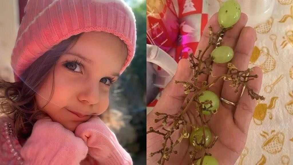 Menina de 3 anos morre após se engasgar com uva