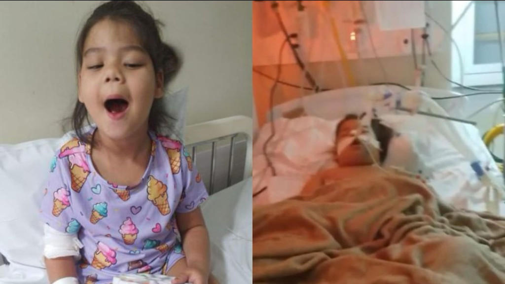 Menina de 5 anos morre em SC após sofrer parada cardiorrespiratória
