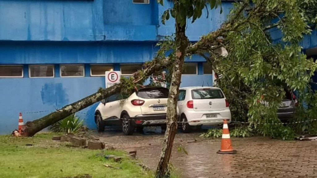 Árvore cai e atinge carros em estacionamento de hospital durante temporal, em Joinville