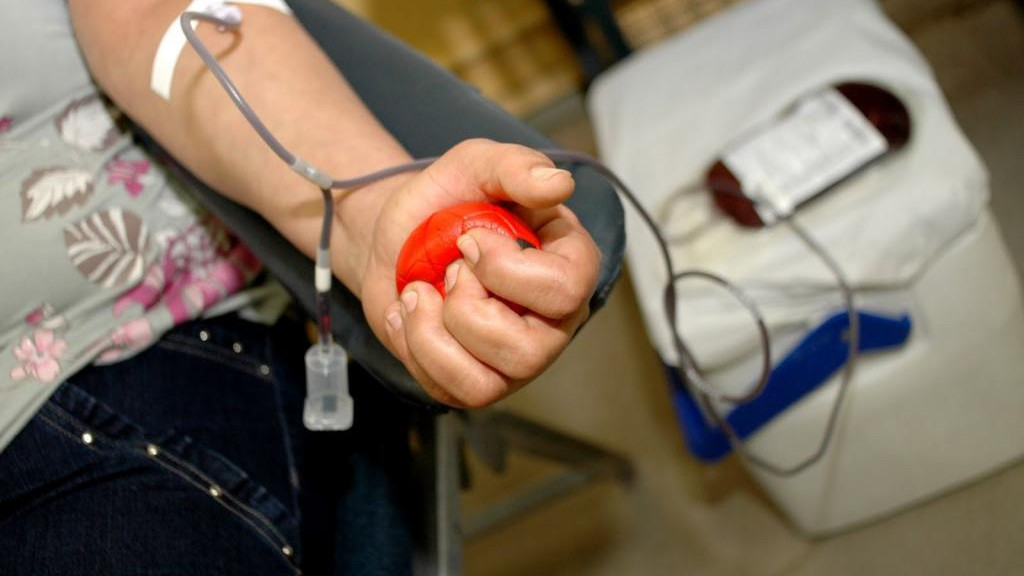 Moradores de Itapema ganham transporte gratuito para doação de sangue