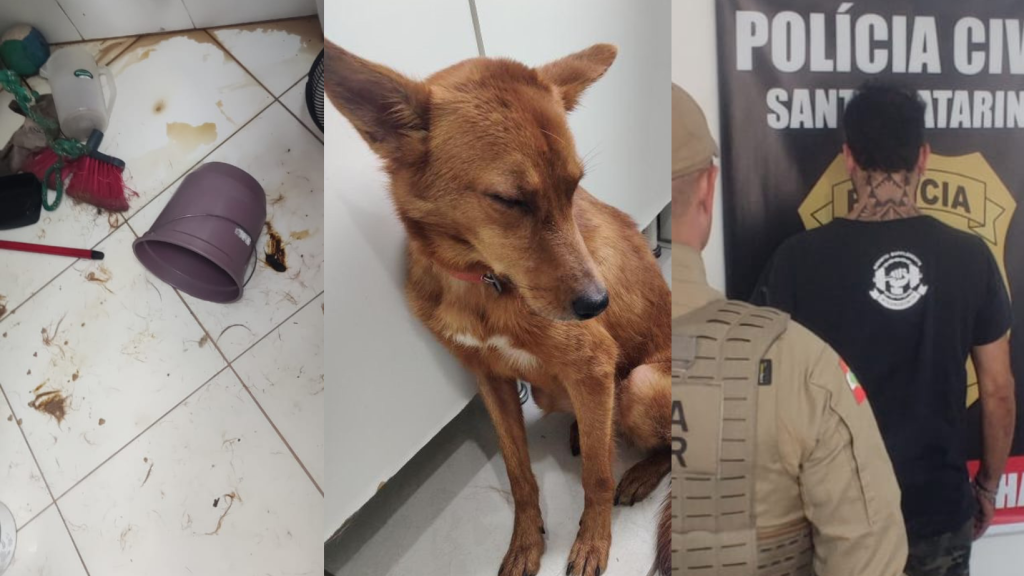 Cachorro é resgatado em meio a fezes e lixo e homem vai preso, em Bombinhas
