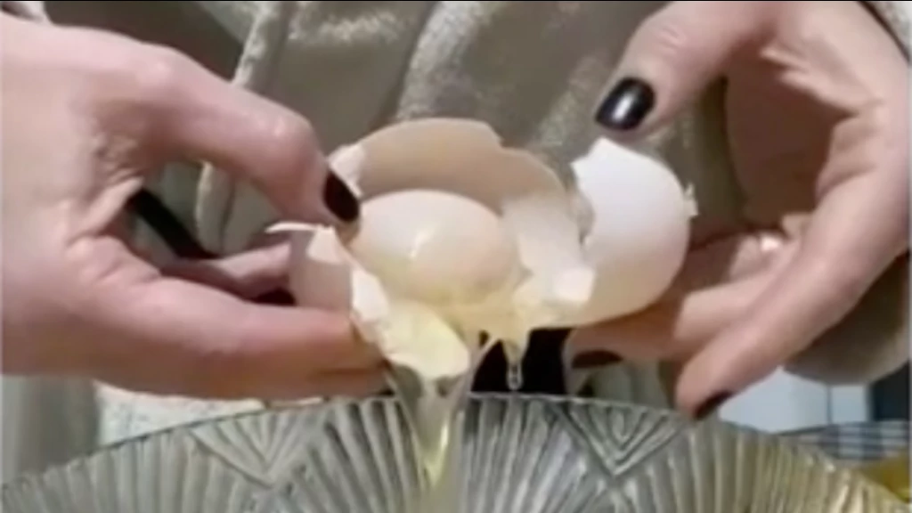 VÍDEO: Galinha bota ovo gigante com outro ovo dentro em Santa Catarina