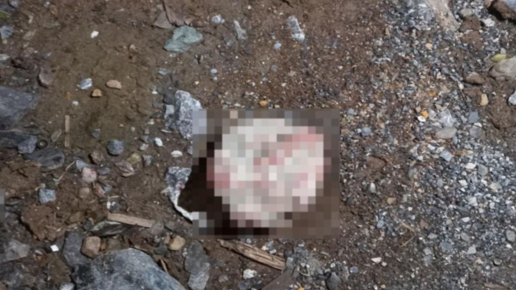 Homem é morto a pedradas e pauladas no Alto Vale do Itajaí