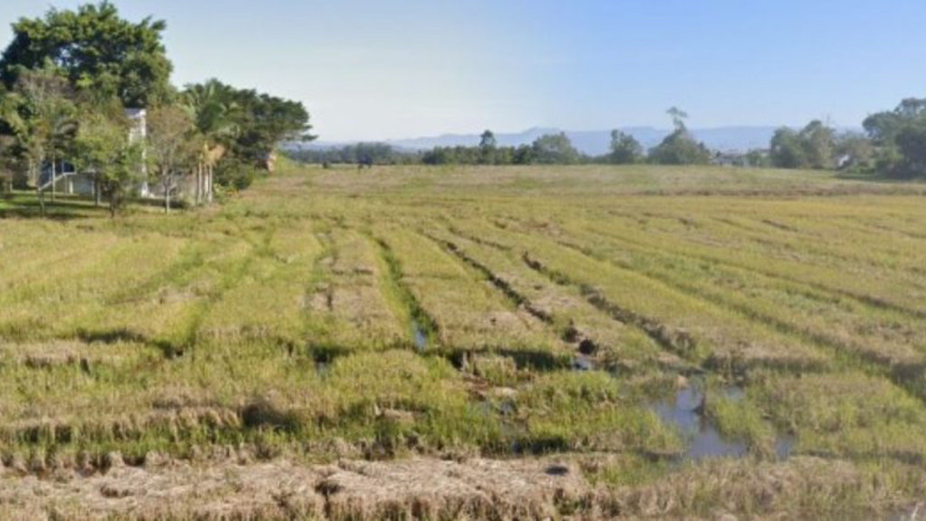 Corpo seminu encontrado em granja choca trabalhador em SC