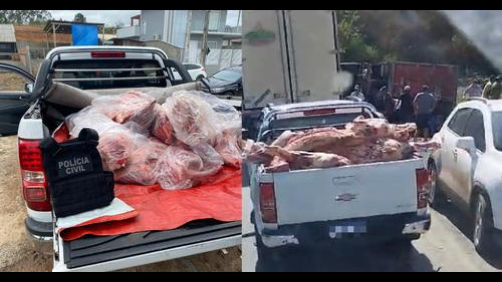 Parte da carga de carne saqueada em acidente na BR-470 é recuperada pela Polícia Civil
