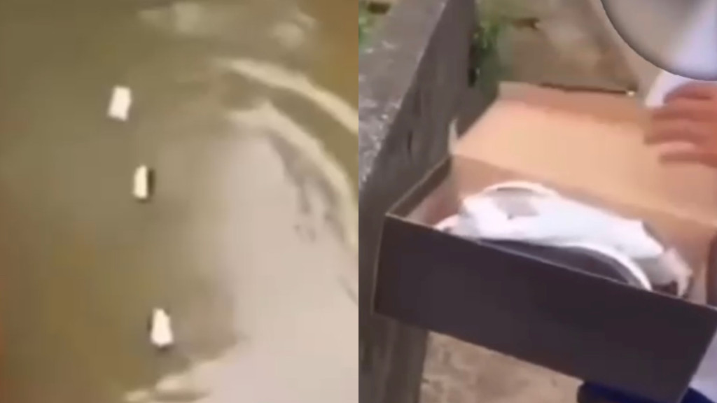 VÍDEO: Adolescentes debocham e filmam jogando em rio material escolar doado por prefeitura de SC