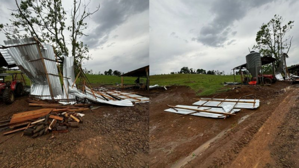 Tempestade causa destruição e mata animais no Oeste catarinense