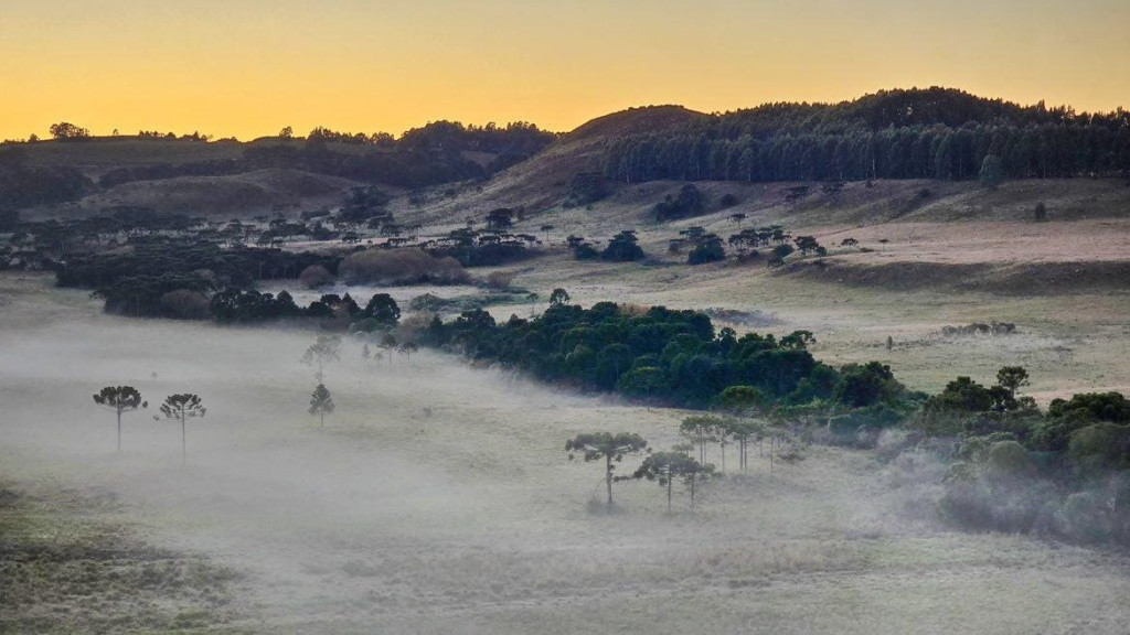 Serra catarinense amanhece “congelada”