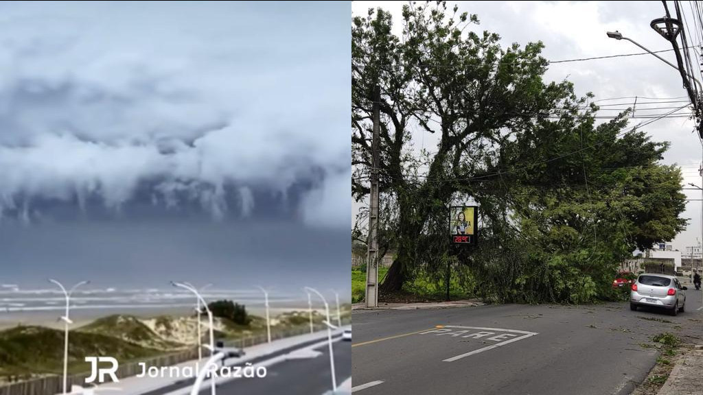 "Nuvem prateleira": Shelf Cloud se forma em SC e assusta moradores em meio a onda de calor