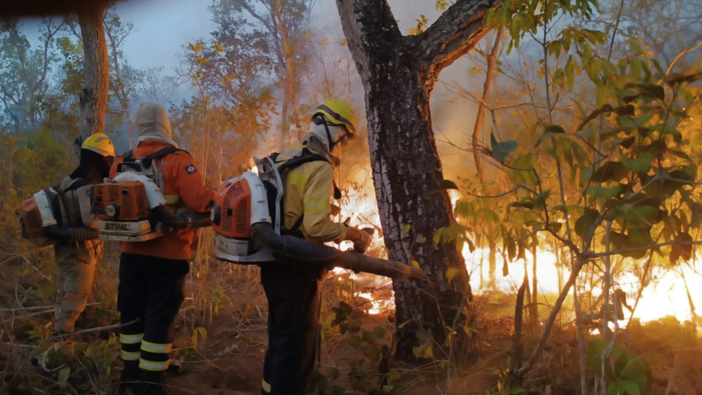 Bombeiros de SC retornam após batalha de 30 dias contra incêndios no Mato Grosso