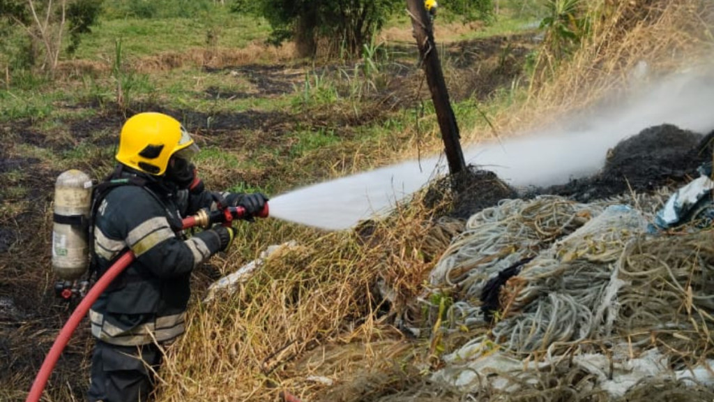 Fogo em área de pasto mobiliza bombeiros em Tijucas