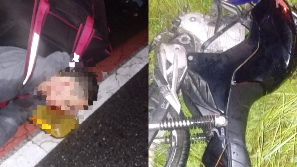 Motociclista morre após bater em cavalo em Penha