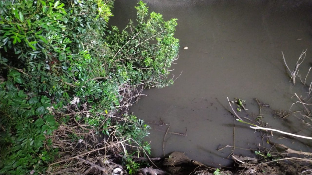 TRISTEZA: Idoso de 66 anos morre ao cair em rio