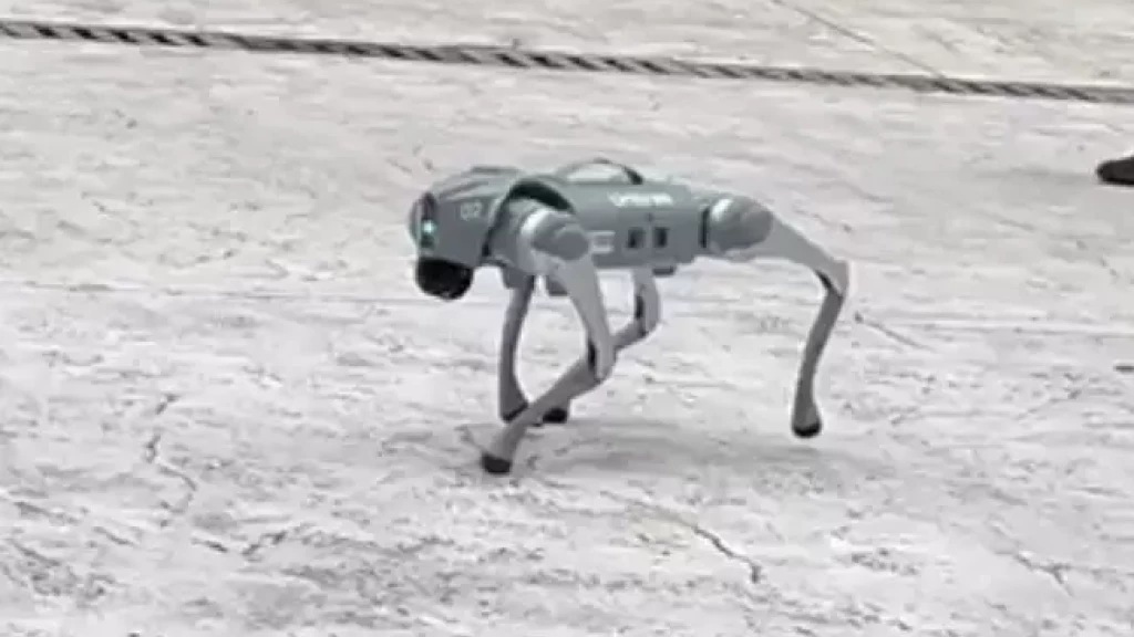 Tecnologia em quatro patas: cão-robô faz aparição em Balneário Camboriú