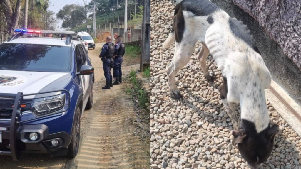 Mulher é presa após deixar cachorro sem comida e água em Porto Belo