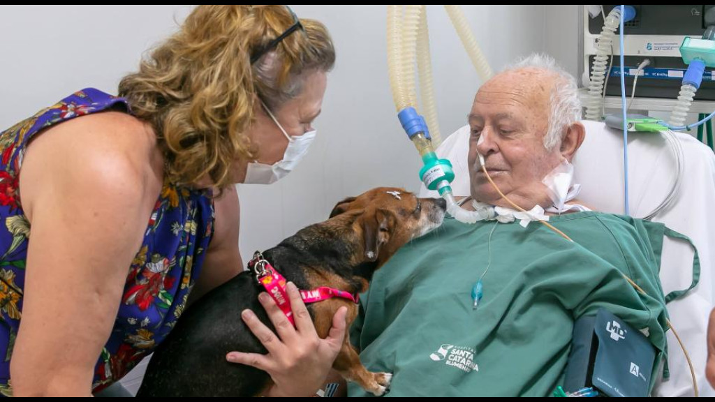 Idoso recebe visita de cachorra de estimação e comove hospital em SC