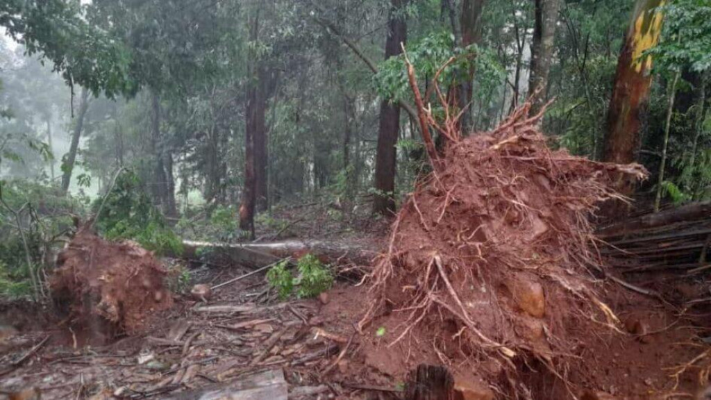 Defesa Civil confirma passagem de tornado em Santa Catarina
