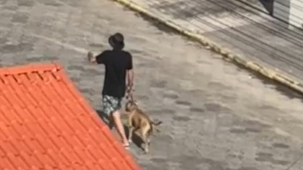 Irresponsabilidade de tutor provoca ataque canino brutal em Itapema
