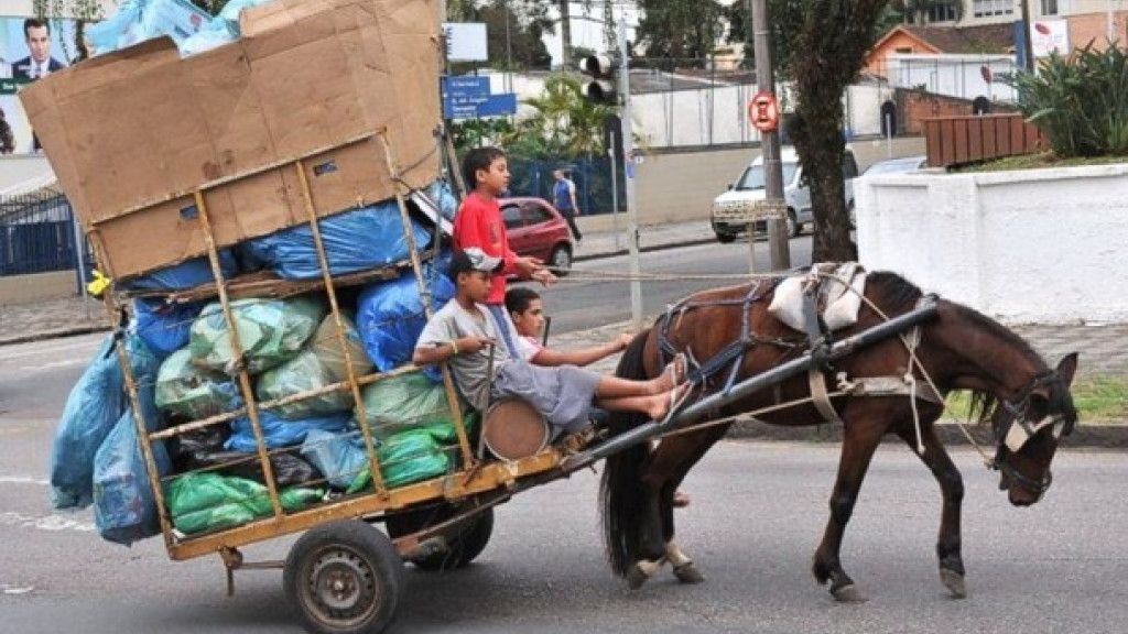 Projeto de Lei quer proibir uso de carroças em Santa Catarina