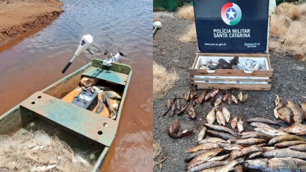 Homens são flagrados em pesca ilegal com rifle semi-automático e 90 kg de peixes no interior de SC