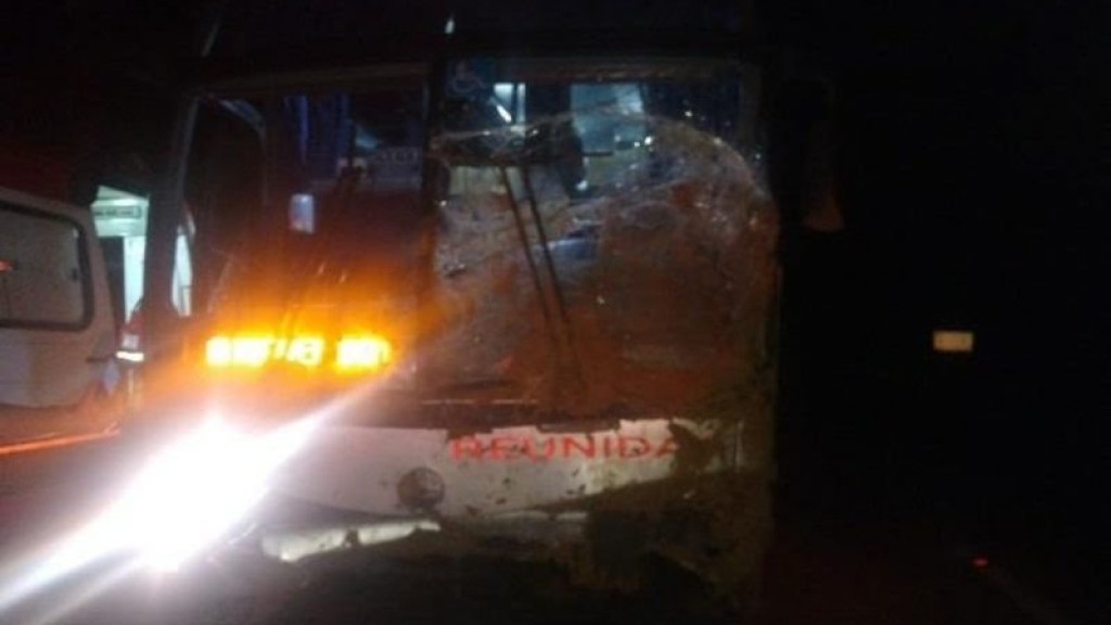 Ônibus da Reunidas sofre acidente na Serra Dona Francisca