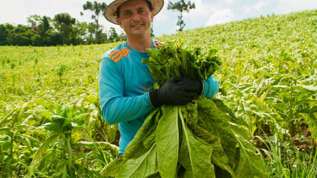 Em defesa do Agro de SC, deputado representará fumicultores no Panamá