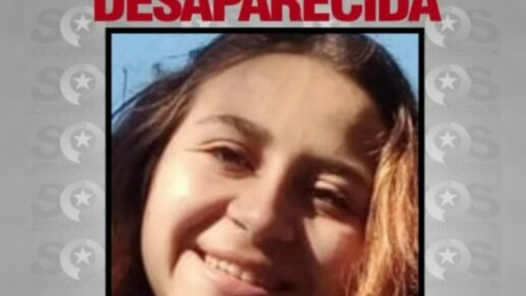 Adolescente de 15 anos desaparece em Florianópolis e família pede socorro