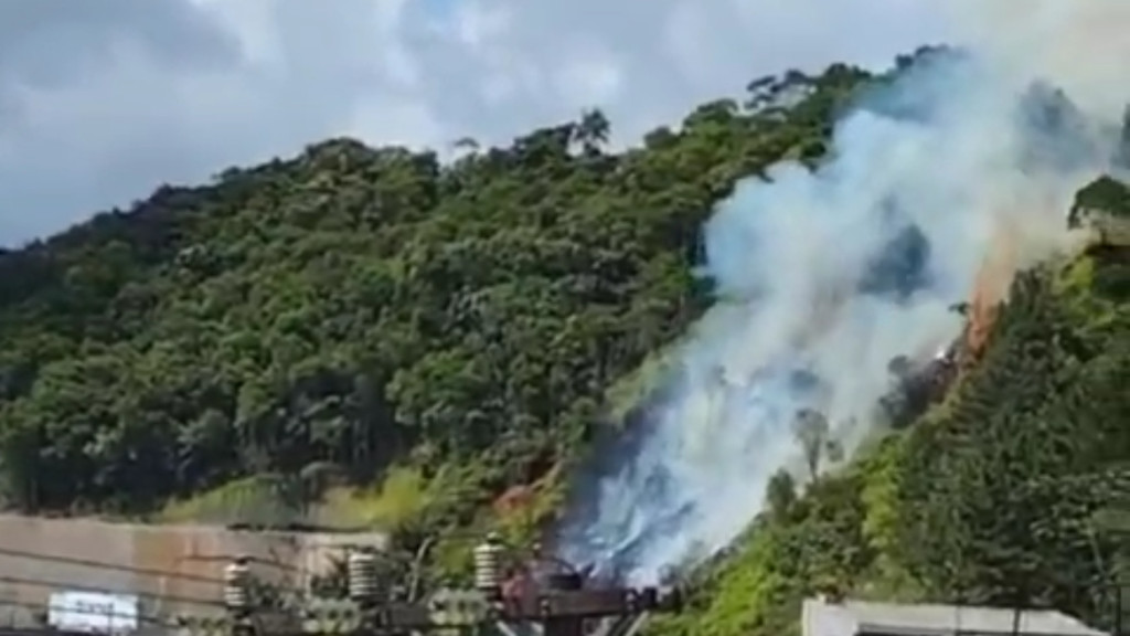 Incêndio de grandes proporções atinge vegetação em Camboriú