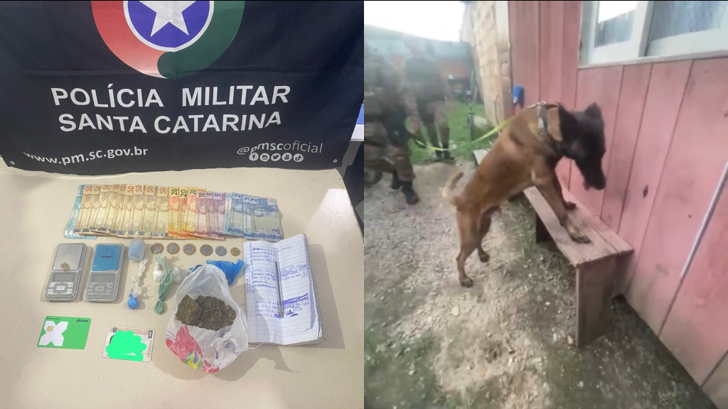 Ação com cães farejadores leva a apreensão de menores e drogas em Tijucas