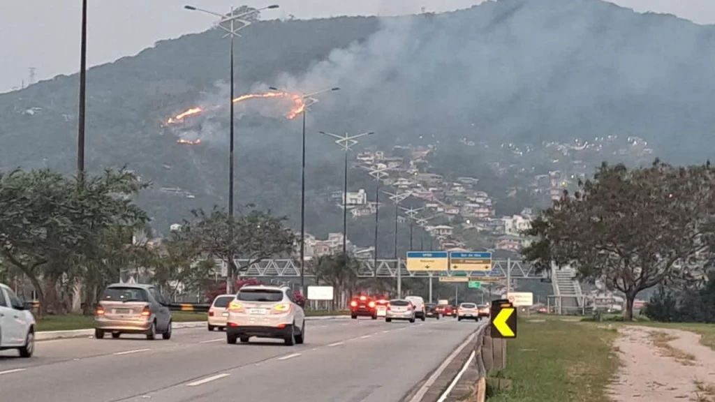 Incêndio em área de mata mobiliza bombeiros em Florianópolis