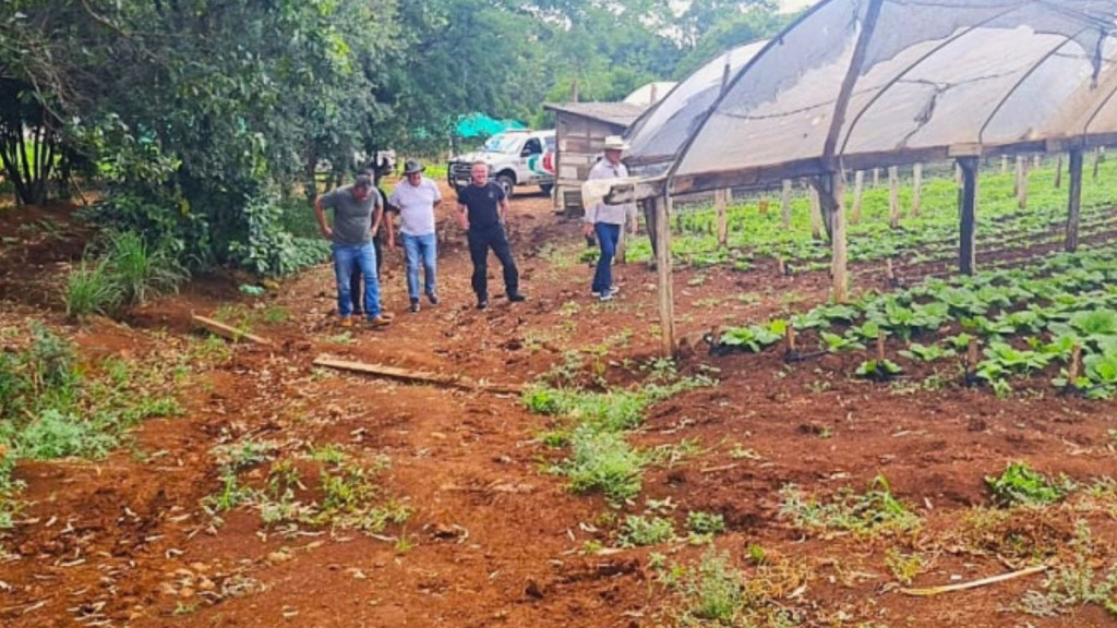 Penitenciária Agrícola dá exemplo na produção de alimentos em SC