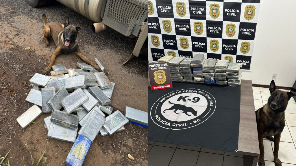 Polícia intercepta carreta e flagra R$ 1 milhão em drogas